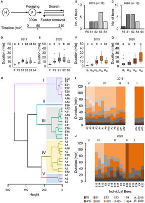 Search Behavior of Individual Foragers Involves Neurotransmitter Systems Characteristic for Social Scouting